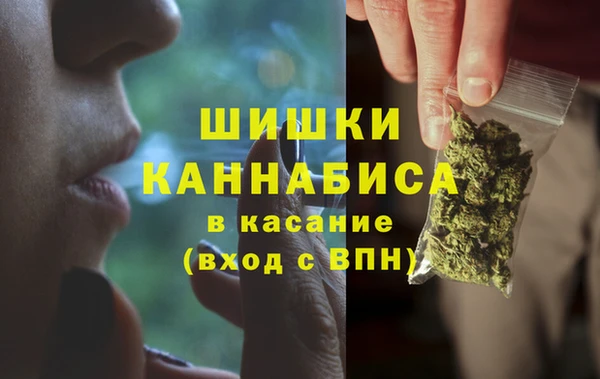 МДПВ Весьегонск