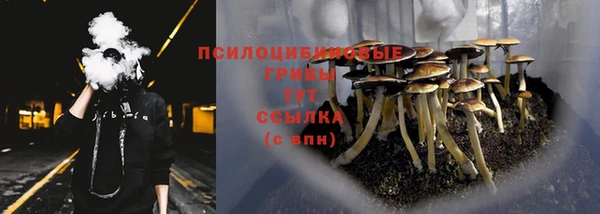 прущий лед Валдай