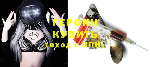 прущие грибы Ачинск