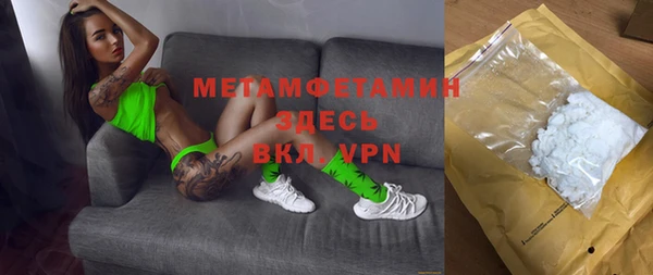 прущие грибы Ачинск