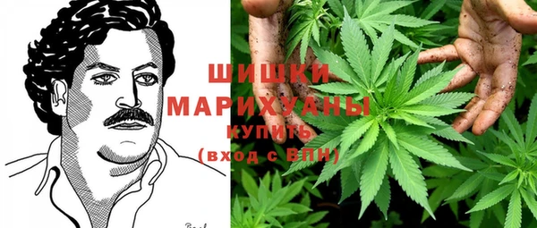 МДПВ Весьегонск