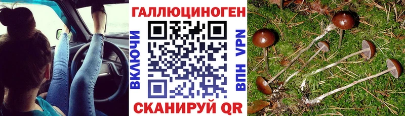 Псилоцибиновые грибы MAGIC MUSHROOMS что такое Байкальск