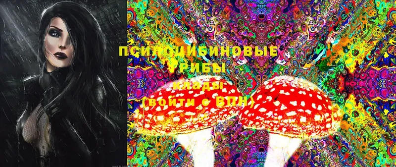 Галлюциногенные грибы MAGIC MUSHROOMS  Байкальск 